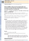 Cover page: Enhanced NMDA receptor tyrosine phosphorylation and increased brain injury following neonatal hypoxia–ischemia in mice with neuronal Fyn overexpression