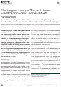 Cover page: Effective gene therapy of Stargardt disease with PEG-ECO/pGRK1-ABCA4-S/MAR nanoparticles.