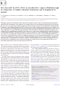 Cover page: Rex (encoded by DVU_0916) in Desulfovibrio vulgaris Hildenborough is a repressor of sulfate adenylyl transferase and is regulated by NADH.