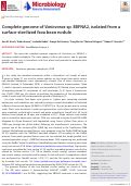 Cover page: Complete genome of Variovorax sp. EBFNA2, isolated from a surface-sterilized fava bean nodule.