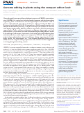 Cover page: Genome editing in plants using the compact editor CasΦ