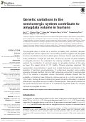 Cover page: Genetic variations in the serotonergic system contribute to amygdala volume in humans