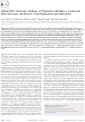 Cover page: Global RNA Structure Analysis of Poliovirus Identifies a Conserved RNA Structure Involved in Viral Replication and Infectivity