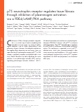 Cover page: p75 neurotrophin receptor regulates tissue fibrosis through inhibition of plasminogen activation via a PDE4/cAMP/PKA pathway