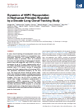 Cover page: Dynamics of HSPC Repopulation in Nonhuman Primates Revealed by a Decade-Long Clonal-Tracking Study