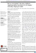 Cover page: Not an 'iron pipeline', but many capillaries: regulating passive transactions in Los Angeles' secondary, illegal gun market.