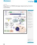 Cover page: Regulation of DNA damage response by trimeric G-proteins