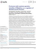 Cover page: Proteome-wide systems genetics identifies UFMylation as a regulator of skeletal muscle function