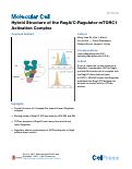 Cover page: Hybrid Structure of the RagA/C-Ragulator mTORC1 Activation Complex