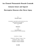 Cover page: Ion Channel Photoswitch Reveals Crosstalk between Intact and Injured Nociceptive Neurons after Nerve Injury