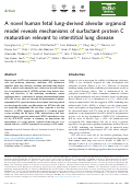 Cover page: A novel human fetal lung-derived alveolar organoid model reveals mechanisms of surfactant protein C maturation relevant to interstitial lung disease.