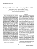 Cover page: Developmental expression and alternative splicing of chick agrin RNA.