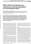 Cover page: BMPs inhibit neurogenesis by a mechanism involving degradation of a transcription factor