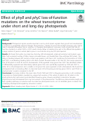 Cover page: Effect of phyB and phyC loss-of-function mutations on the wheat transcriptome under short and long day photoperiods