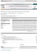 Cover page: DNA damage and tissue repair: What we can learn from planaria