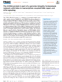 Cover page: The UVSSA protein is part of a genome integrity homeostasis network with links to transcription-coupled DNA repair and ATM signaling