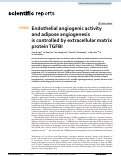 Cover page: Endothelial angiogenic activity and adipose angiogenesis is controlled by extracellular matrix protein TGFBI.