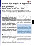 Cover page: Chloroplast FBPase and SBPase are thioredoxin-linked enzymes with similar architecture but different evolutionary histories