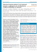 Cover page: Interaction between galectin-3 and cystinosin uncovers a pathogenic role of inflammation in&nbsp;kidney involvement of cystinosis