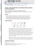 Cover page: A Regio- and Enantioselective CuH-Catalyzed Ketone Allylation with Terminal Allenes