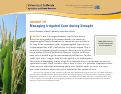 Cover page: Drought Tip: Managing Irrigated Corn during Drought