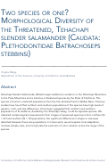 Cover page of Two Species or One? Morphological Diversity of the Threatened, Tehachapi Slender Salamander (Caudata: Plethodontidae Batrachoseps Stebbensi)