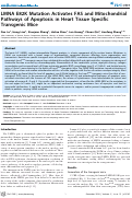 Cover page: LMNA E82K Mutation Activates FAS and Mitochondrial Pathways of Apoptosis in Heart Tissue Specific Transgenic Mice