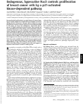 Cover page: Endogenous, hyperactive Rac3 controls proliferation of breast cancer cells by a p21-activated kinase-dependent pathway
