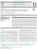 Cover page: Molecular insights into the binding interactions and energetics of the omicron spike variant with hACE2 and a neutralizing antibody