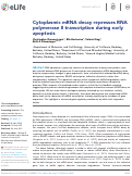 Cover page: Cytoplasmic mRNA decay represses RNA polymerase II transcription during early apoptosis