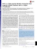 Cover page: OCT1 is a high-capacity thiamine transporter that regulates hepatic steatosis and is a target of metformin