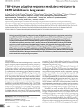 Cover page: TNF-driven adaptive response mediates resistance to EGFR inhibition in lung cancer