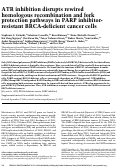 Cover page: ATR inhibition disrupts rewired homologous recombination and fork protection pathways in PARP inhibitor-resistant BRCA-deficient cancer cells