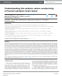 Cover page: Understanding the sodium cation conductivity of human epileptic brain tissue