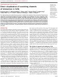 Cover page: Direct visualization of coexisting channels of interaction in CeSb