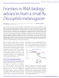 Cover page: Frontiers in RNA biology: advances from a small fly Drosophila melanogaster