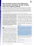 Cover page: IKKα inactivation promotes Kras-initiated lung adenocarcinoma development through disrupting major redox regulatory pathways