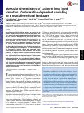 Cover page: Molecular determinants of cadherin ideal bond formation: Conformation-dependent unbinding on a multidimensional landscape