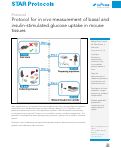 Cover page: Protocol for in&nbsp;vivo measurement of basal and insulin-stimulated glucose uptake in mouse tissues.