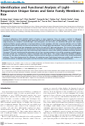 Cover page: Identification and functional analysis of light-responsive unique genes and gene family members in rice.