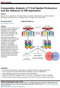 Cover page: Comparative Analysis of T-Cell Spatial Proteomics and the Influence of HIV Expression