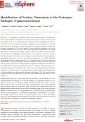 Cover page: Identification of Positive Chemotaxis in the Protozoan Pathogen Trypanosoma brucei