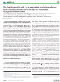 Cover page: The highly specific, cell cycle–regulated methyltransferase from Caulobacter crescentus relies on a novel DNA recognition mechanism