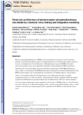 Cover page: Molecular Architecture of Photoreceptor Phosphodiesterase Elucidated by Chemical Cross-Linking and Integrative Modeling