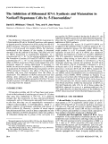 Cover page: The inhibition of ribosomal RNA synthesis and maturation in Novikoff hepatoma cells by 5-fluorouridine.