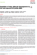 Cover page: Regulation of beige adipocyte thermogenesis by the cold-repressed ER protein NNAT