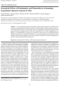 Cover page: Synergistic Effects of Galantamine and Memantine in Attenuating Scopolamine-Induced Amnesia in Mice