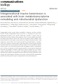 Cover page: Intergenerational trauma transmission is associated with brain metabotranscriptome remodeling and mitochondrial dysfunction