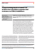 Cover page: A deep learning model of tumor cell architecture elucidates response and resistance to CDK4/6 inhibitors.