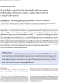 Cover page: Bcl-xL Is Essential for the Survival and Function of Differentiated Neurons in the Cortex That Control Complex Behaviors.